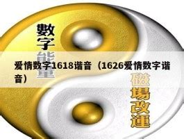 数字号码意思|数字谐音